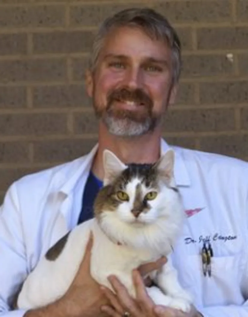 Dr. Jeff Covington holding a cat 